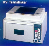 Translinker